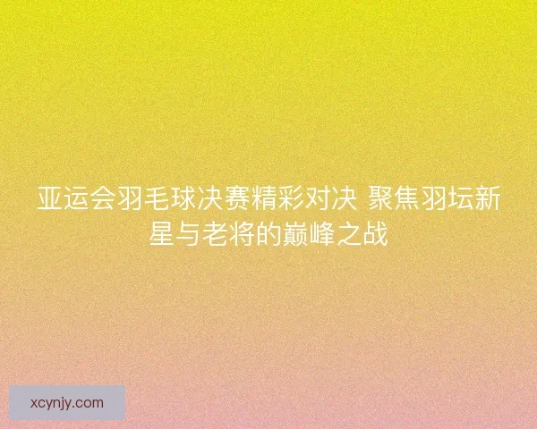 亚运会羽毛球决赛精彩对决 聚焦羽坛新星与老将的巅峰之战
