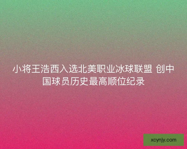 小将王浩西入选北美职业冰球联盟 创中国球员历史最高顺位纪录